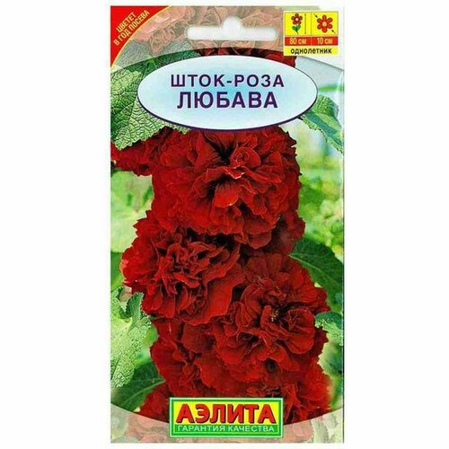 ���� ������ ����-���� ������, ����������, (������) 15��, ������ �� 55 ���