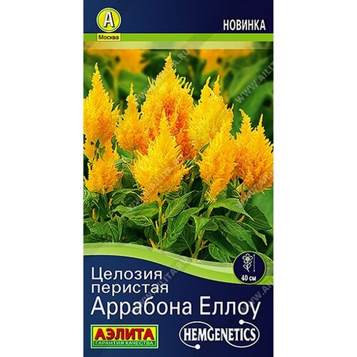     , , () 7 Hem Genetics,   75 