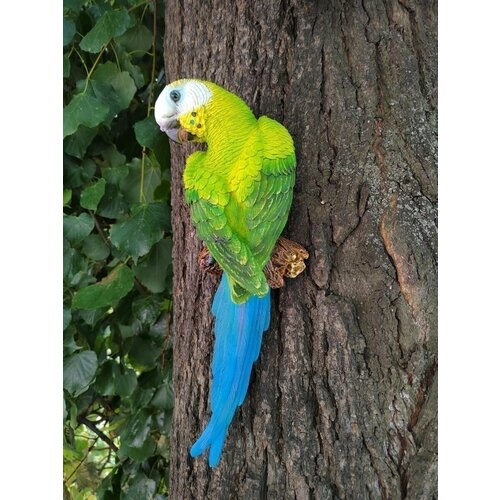 ���� ������� �������, ������� ��������� �� ������, ������ �� ����� , ����� ��� ����, �������� �������, ������ �� 1172 ���