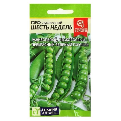 ���� ������ ����� 