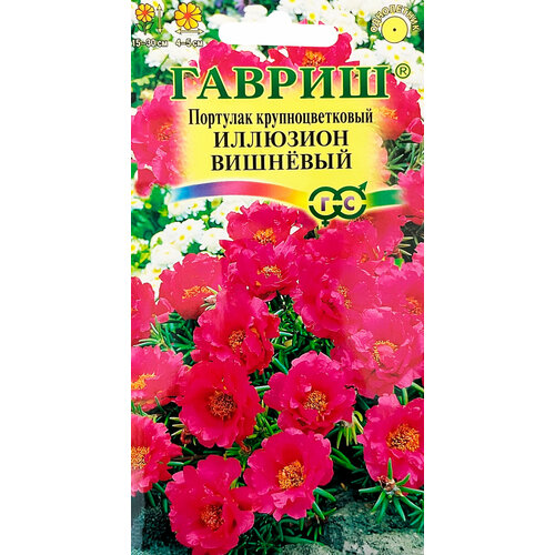 ���� ������. �������� 