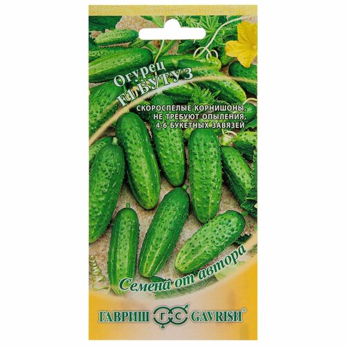 ���� ������ ������-�������� ����� F1, ������ �� 313 ���