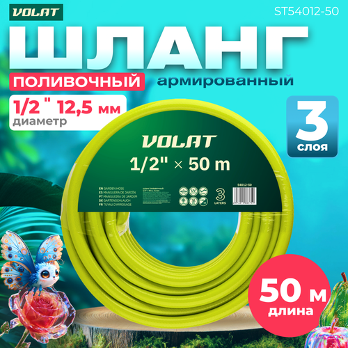 ���� ����� ���������� ����� 1/2