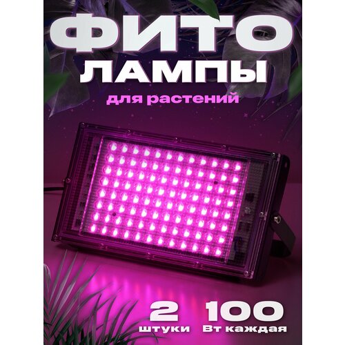 ���� Ocean of Light, ��������� ����� ��� ��������, ���������������� ����� ������������, ��������� ��� �������, ������ �� 2012 ���