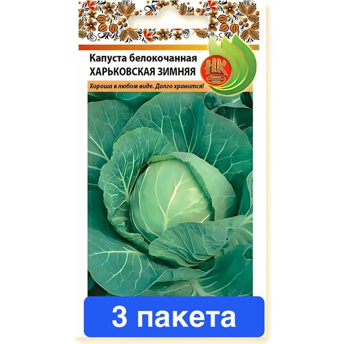 ���� ������ ������ ������� ������ 