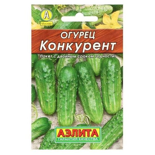 ���� ������. ������ 