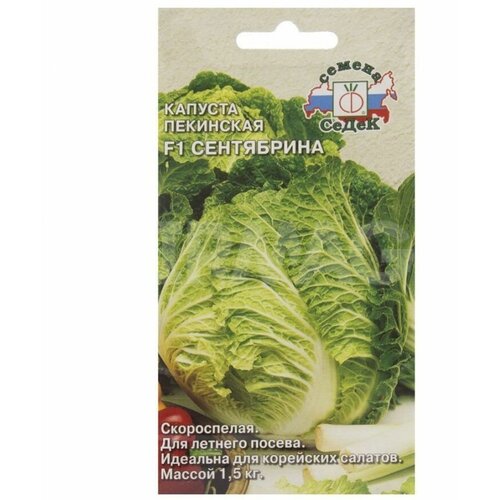 ���� ������� ��������� ���������� F1 (0,3 �) 1 �����, ������ �� 203 ���