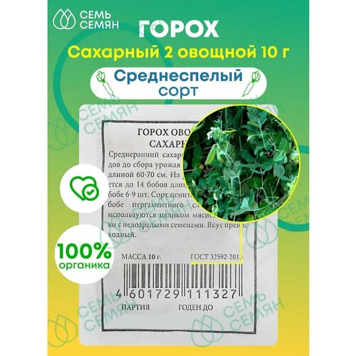 ���� ������. ����� 