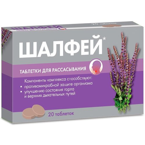 ���� ������ ���. �/������., 20 ��., ������ �� 169 ���