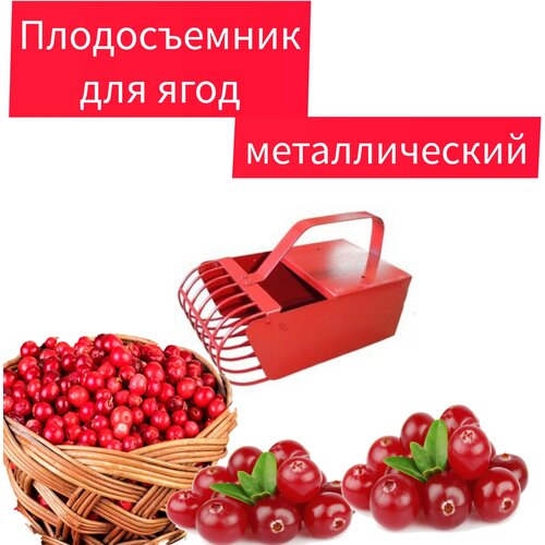 ���� ������� ������������� ��� ����� ���� ������, ������ �� 1050 ���