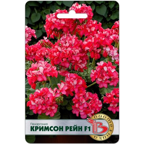 ���� ������ ������ (����������) F1 ������� ���� 5 ���� ����� ����������, ������ �� 355 ���