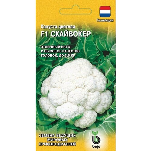 ���� ������ ������� ������� ��������� F1, 10��, ������, ������� ������� �������������, Bejo, ������ �� 310 ���