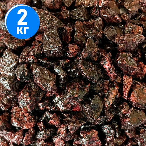 ���� ����������� ����� ��� ��������, ����������� � ��������, Zoo One, ��������� ��������, 