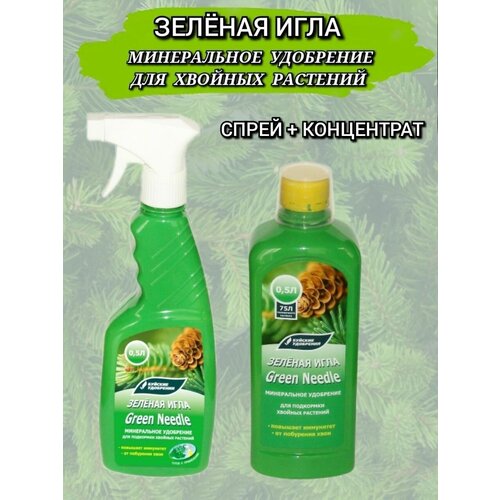 ���� �������� ����������� ��������� 