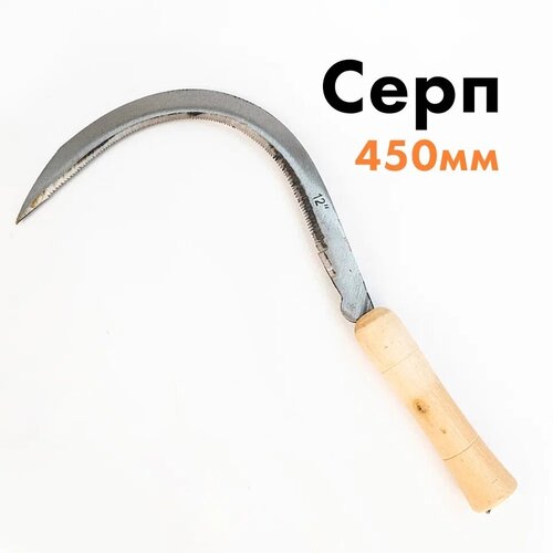 ���� ���� ������� 450�� � ���������� ������, ������ �� 589 ���