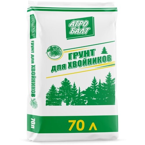 ���� ����� ��� ���������, 