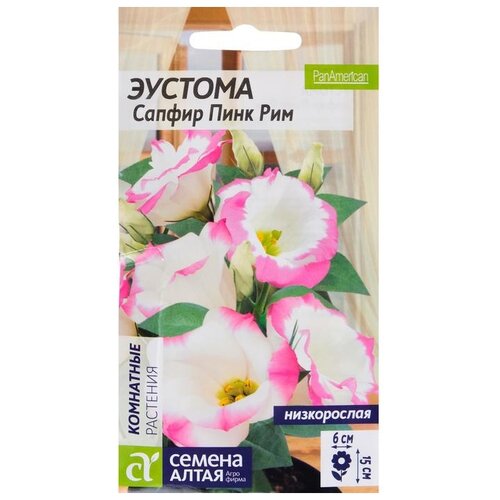 ���� ������ ������ ����� ������� ������ ���� ��� 5 ��, ������ �� 504 ���