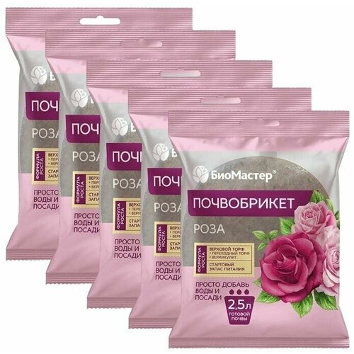 ���� ����������� 