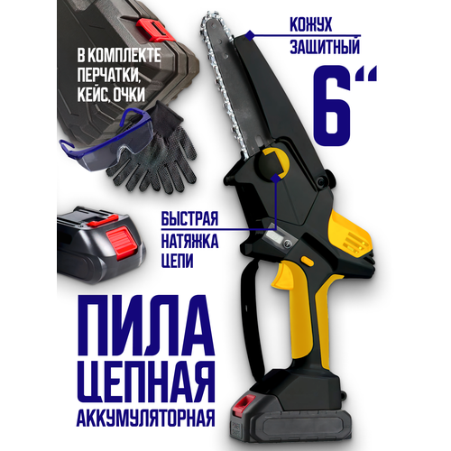 ���� ���� ���� ������ �������������� �����������, ������� ���� ��� ������� �������� ����� ������ 6 ������, ������, ������ �� 4495 ���