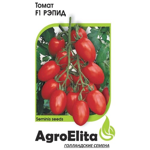 ���� ������ ��������� 