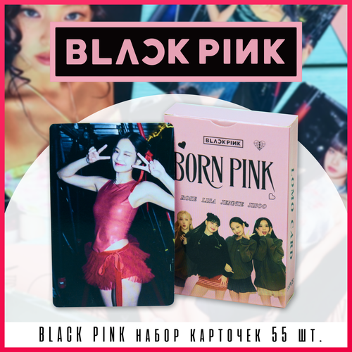  K-pop Black pink  ,    ,   116 