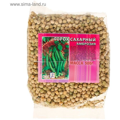 ���� ������ ����� 