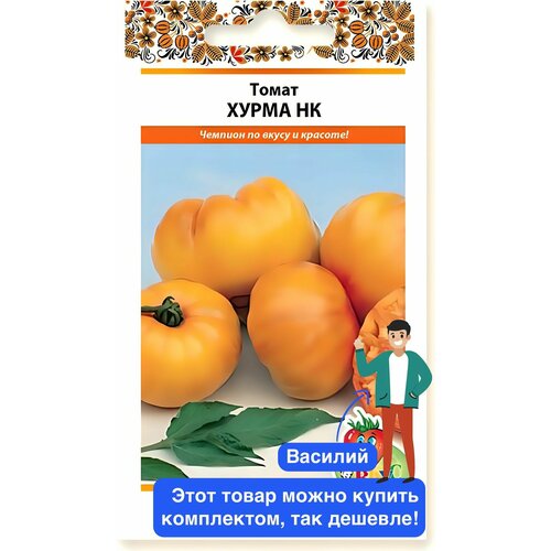 ���� ������ ������ ������� ������ 