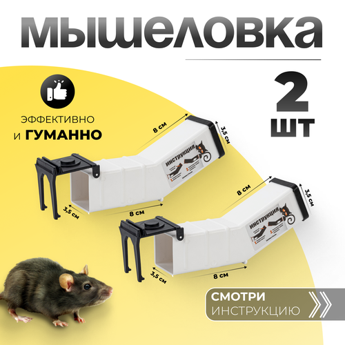    -     ,  ,   2 ,   358 