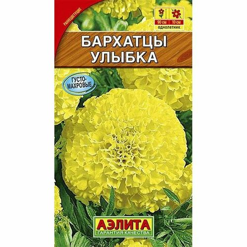 ���� ������ �������� ������, ��. (����������) (������) 0,3�, ������ �� 43 ���