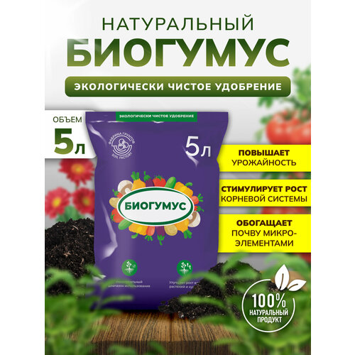 ���� �������� ����� ��� �������� � ������� �����������, 5 �, InHome Green, ������ �� 1035 ���