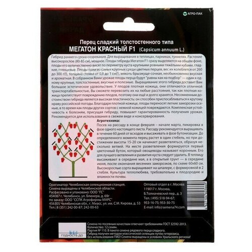 ���� ������ ����� ������� 