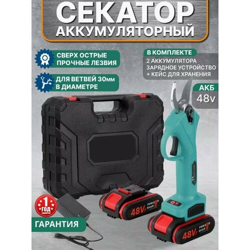 ���� ������� �������������� �������, �������������� �������������, ���������, ������ �� 4999 ���