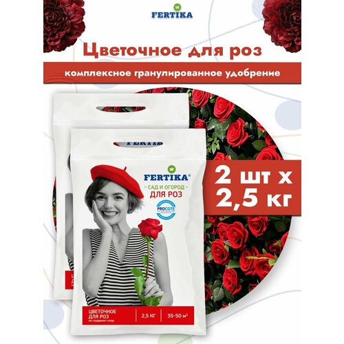 ���� ��������� ������� ��������� ��� ��� �����-����-����� ����������� ���������������, 2 �� �� 2,5 ��, ������ �� 1779 ���