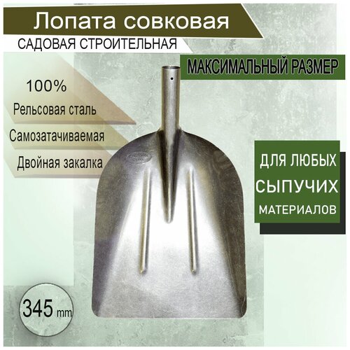 ���� ������ ����� 