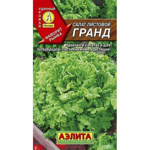 ���� ������ ����� ����� �, �������� (������) 0,5�, ������ �� 41 ���