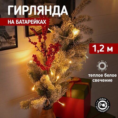 ���� �������� NEON-NIGHT 303-073, 1 ��. � ������, 12 � 0.04 � 0.043 �, 0.043 � 0.04 �, 10 ����, ������, ������ �� 517 ���