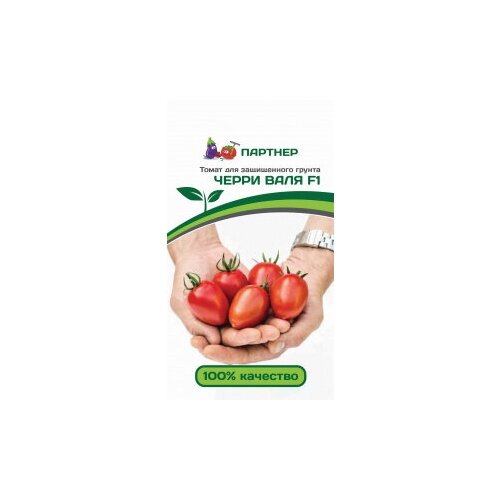 ���� ������� ����� ����� 