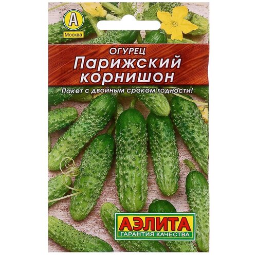 ���� ������ ������ 