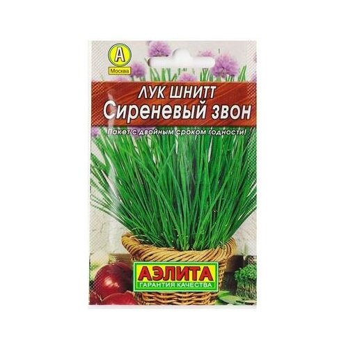 ���� ��� ����� 