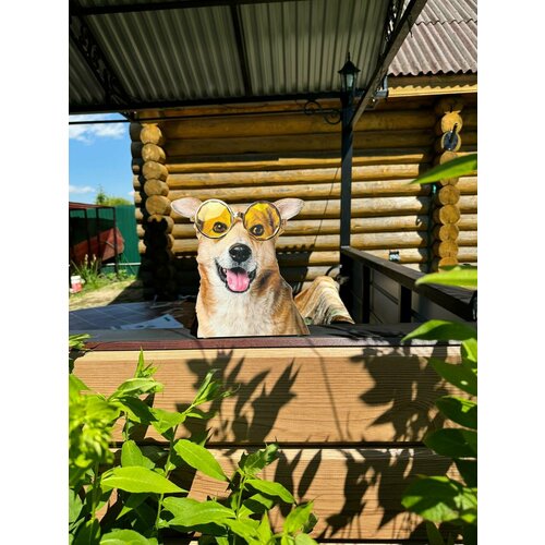 ���� ������� ����� �� ������� 