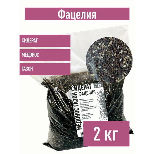 ���� ������� ������, 2 �� ������� ������� �����, ������ �� 1159 ���