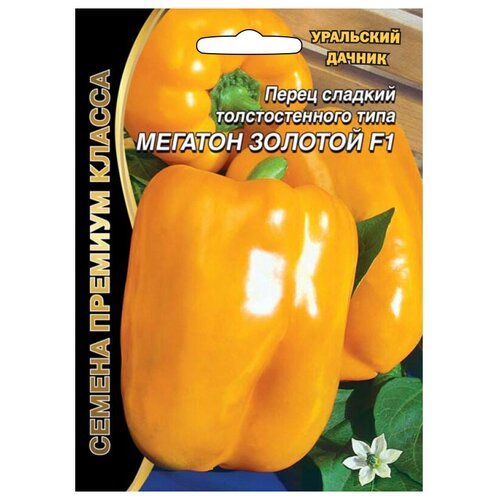 ���� ������ ��������� ������ ������� ����� ������� ������� ������� F1 12 ��., ������ �� 98 ���