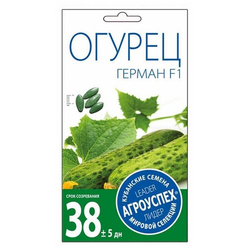 ���� ������ ��������� ������ ������ F1 7 ��., ������ �� 141 ���