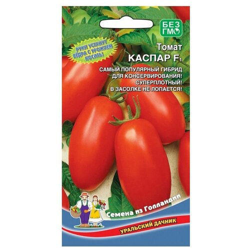 ���� ������ ��������� ������ ����� ������ F1 12 ��, ������ �� 60 ���