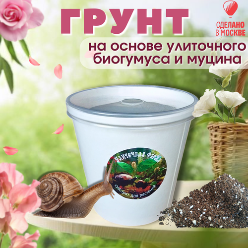 ���� �������� �1. ��������� ����� �. ������������� ����� ��� ��������, ���������, ������ �� 500 ���