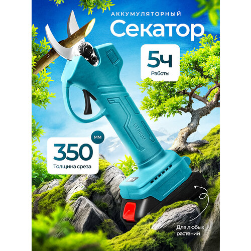 ���� ������� ��������������, �������, � 2 ���, ������ �� 4144 ���