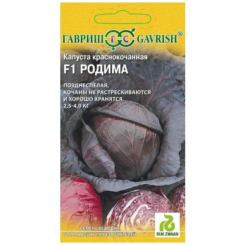 ���� ������. ������� �������������� 