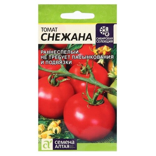 ���� ������ ����� 