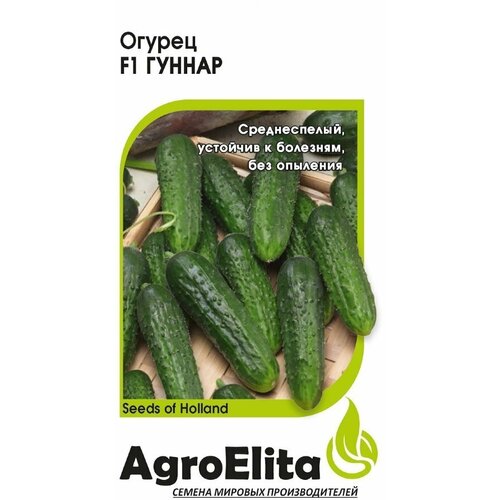     F1, 5, AgroElita, Enza Zaden   -     , -, 