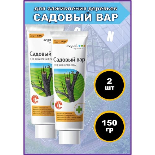 ���� �������, �������� ��� Avgust, ��� ���������� ��� � �������� ��������, 150 � � ������. ����� 2 ��., ������ �� 548 ���